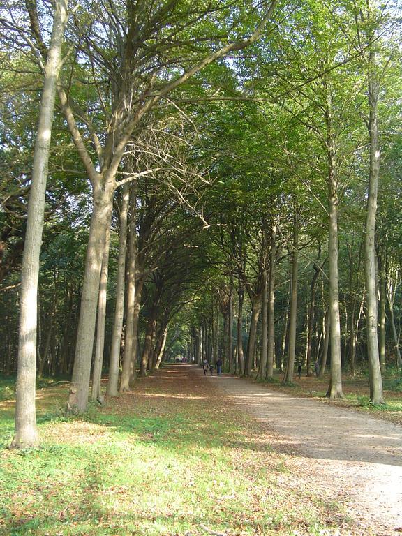 'ZAND' zeeland sky recreatie Весткапеле Екстериор снимка